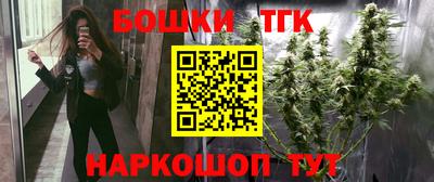стаф Тула