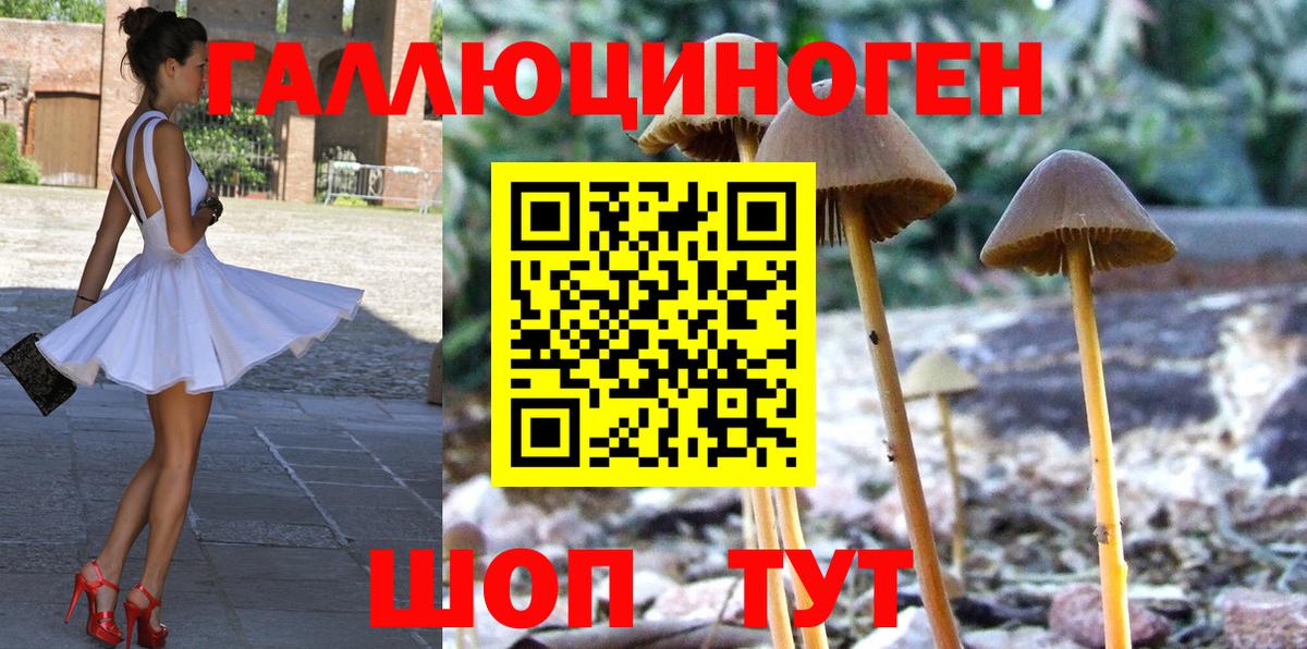 Псилоцибиновые грибы мицелий  продажа наркотиков  Когалым  Вход с VPN 